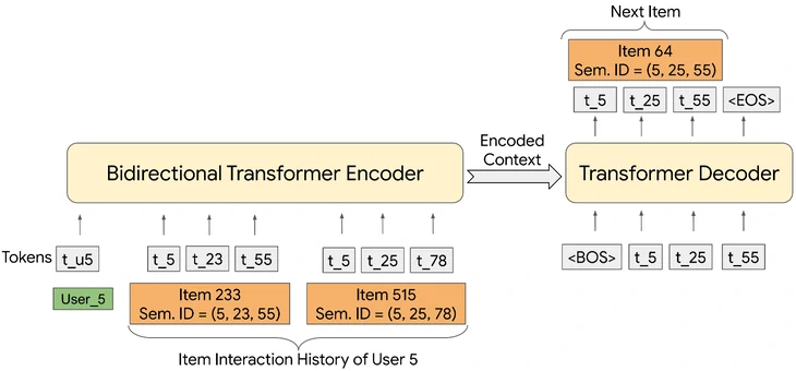 tiger_transformer (1)